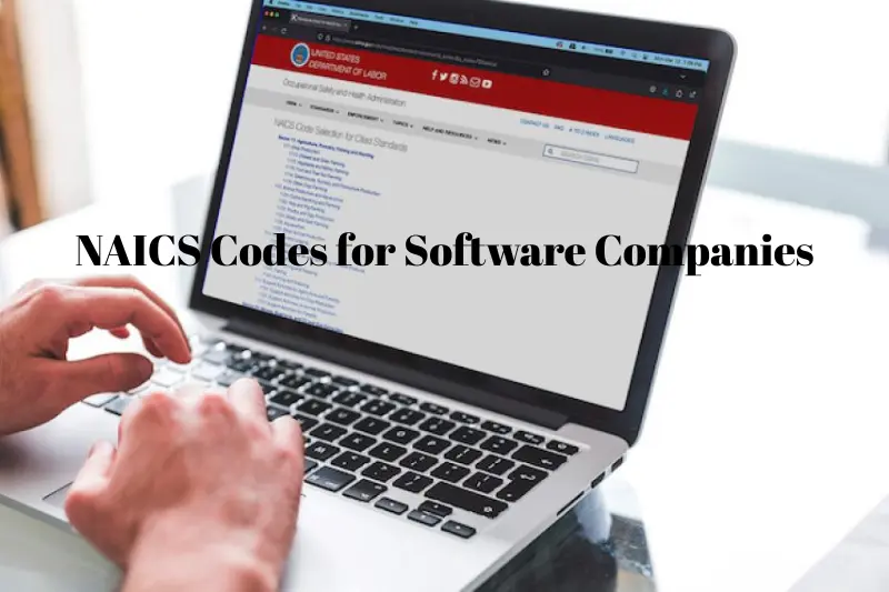 naics codes for software companies