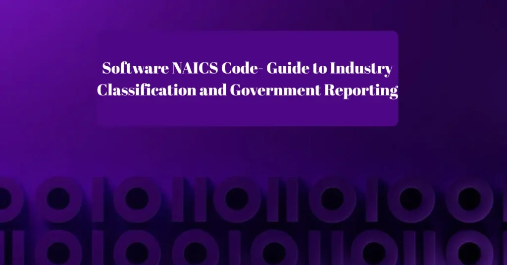 software naics code guide to industry classification and government reporting